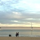 에코 켄넬 이미지