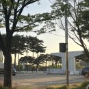 하늘농수산물 | 망원한강공원 피크닉 포장 마포 농수산물시장 맛집 '시온초밥' 가성비 폭발 후기 🍣