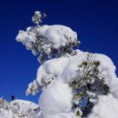 방장산(743m) 눈꽃산행은 황홀경이다 <14.12.18> 이미지