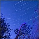 마멘치사우루스 이미지