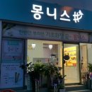 루안몽니스샵