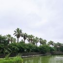 더럭초등학교 | 애월 가볼만한곳 더럭초등학교 연화지 주차 포토존 안내 후기