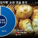 감자밭 이미지