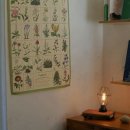 밭멍스테이 이미지