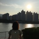 수민목장 | 누군가에게 받은 다정함은 시간에 깎여도 그리움으로 기억되는구나