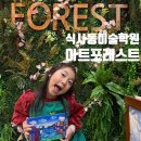 퍼니아트미술학원 | 일산 아동미술 식사동 미술학원 아트포레스트 체험수업 후기