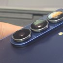 장안의화제 이미지