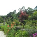 황토방펜션 - 평창군 장미산길 67-14 | 횡성 펜션 바쁜 일상에 쉼표, 솔나무황토방펜션에서 진짜 힐링을 경험한 후기