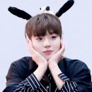 러브허니 이미지