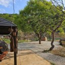 문경수예리오토캠핑장 이미지