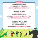 2025 제주국제관악제 [봄 시즌] 이미지