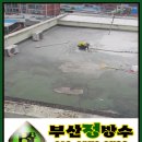 명성약국 이미지