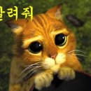 수학영재학원