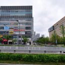 나성동_국세청앞BRT 이미지