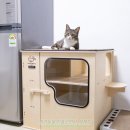 고양이 대형 원목 화장실 네이버펫 그린웨일 사막화 방지