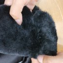 의류 리폼(서원) | 청주 옷수선 청바지 코트 정장 모피 패딩 티 늘리기 줄이기 잘하는 집 강남옷수선 후기