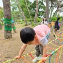 용봉초병설유치원 이미지