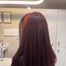 데일리수 이미지