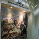 마멘치사우루스 | [경남 진주] 경상남도교육청 과학교육원 방문 후기💡