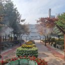 서구-01-08 이미지