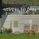 두리김밥 | 춘천 독채 애견동반숙소 두리민박 &amp; 밤하늘 별이가득했던 시골느좋숙소 내돈내산 : 두리스테이, 에어비앤비