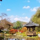 쉴만한 맑은물가 이미지