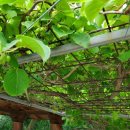 한태농장 이미지