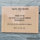 일리아플라워 이미지