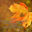 달보드레하다 이미지
