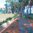 꽃두레행복마을 이미지