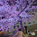 지에스25 천안원성천점 이미지