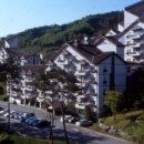 가족호텔 개나리동 이미지