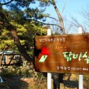 송재농장 Daum카페