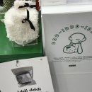 디디디아이 이미지