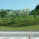 대원장모텔 이미지