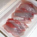 산청시장 | 통영 중앙시장 활어회 산청활어, 방어회 포장 후기