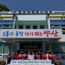 동면 50 경남신문