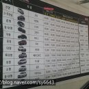 라미CNP