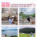 ✅ 진해군항제 ✅ 해양드라마세트장 ✅ 장수암 ✅ 소쿠리섬 이미지