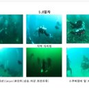 해외 동계 수중훈련 및 선진지 견학(2018.1.11~18) 이미지