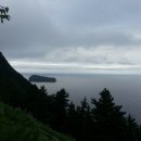 대섬농장 이미지