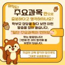 피아체레음악교습소 - 11904 | 피아체레음악교습소