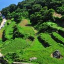 조수목장 이미지