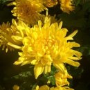 우리PC방 이미지