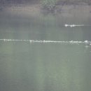 서정마을~서정저수지 이미지