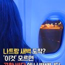 고려콘베어 | ✈️ 아이와 함께한 3박 5일 나트랑 가족여행, 새벽 도착 필수품 '패스트트랙' 솔직 이용 후기!