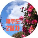 성산읍 고성sk1빌라 옆 | [제주여행] 2일차 / 서귀포에서 성산까지