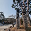 금광면사무소 주차장 이미지