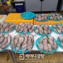 삼척번개시장 이미지