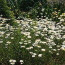 둥지해오름 이미지